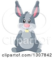 Clipart Of A Cute Gray Bunny Rabbit Royalty Free Vector Illustration