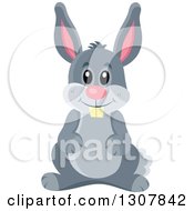 Poster, Art Print Of Cute Gray Bunny Rabbit