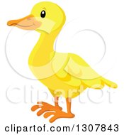 Poster, Art Print Of Cute Yellow Duck Facing Left