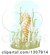 Poster, Art Print Of Sketched Yellow Seahorse In Seaweed