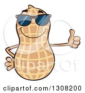 Clipart Of A Happy Peanut Mascot Character Wearing Sunglasses And Giving A Thumb Up Royalty Free Vector Illustration by Hit Toon