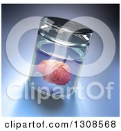 Clipart Of A 3d Human Brain In A Specimen Jar Royalty Free Illustration