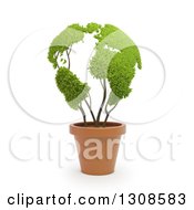 3d Leafy Globe Plant In A Terra Cotta Pot Over White