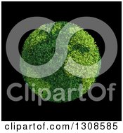Poster, Art Print Of 3d Leafy Planet Earth Globe On Black
