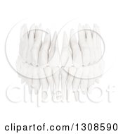 Poster, Art Print Of 3d Human Teeth From The Front On White