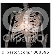 3d Chest View Of A Human Skeleton With Light On Black