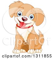 Poster, Art Print Of Cute Tan And Beige Baby Puppy Dog With Blue Eyes Sitting And Panting