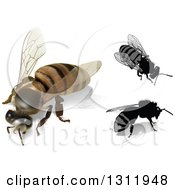 Poster, Art Print Of 3d And Cartoon Honey Bees