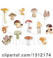 Clipart Of Cartoon Mushrooms Royalty Free Vector Illustration