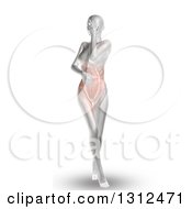 Clipart Of A 3d Medical Anatomical Female With Visible Stomach Pain And Muscles On White Royalty Free Illustration