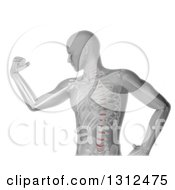 3d Medical Anatomical Male Flexing His Biceps With Visible Skeleton On White