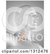 3d Medical Anatomical Male With Visible Neck Vertibrae On Gray