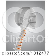 Clipart Of A 3d Medical Anatomical Skull With Highlighted Neck Vertibrae On Gray Royalty Free Illustration