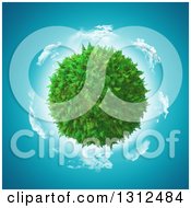Poster, Art Print Of 3d Fern Globe With A Circle Of Clouds And Blue Sky