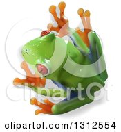 Aerial View Of A 3d Cute Red Eyed Tree Frog