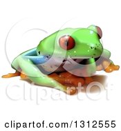 Poster, Art Print Of 3d Cute Red Eyed Tree Frog