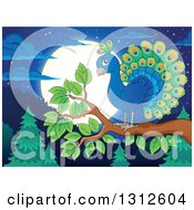 Poster, Art Print Of Cartoon Peacock On A Branch Over An Evergreen Forest With A Full Moon At Night