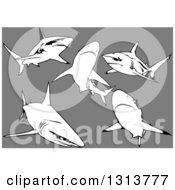 Poster, Art Print Of Black Tip Sharks Swimming On Gray