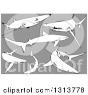 Poster, Art Print Of Black And White Swimming Blue Sharks On Gray