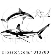 Poster, Art Print Of Black And White Swimming Caribbean Sharks