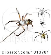 Poster, Art Print Of 3d Argiope Spiders