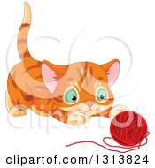 Cute Tabby Ginger Kitten About To Pounce On A Ball Of Yarn