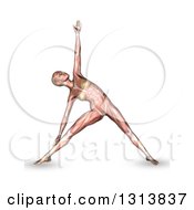 Clipart Of A 3d Anatomical Woman Stretching In A Yoga Pose With Visible Muscles On White Royalty Free Illustration