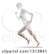Poster, Art Print Of 3d Anatomical Woman Running With Visible Leg Muscles On White