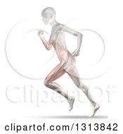 Poster, Art Print Of 3d Anatomical Woman Running With Visible Muscles On White