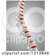 3d Human Spine With Red Discs Highlighted Over Gray