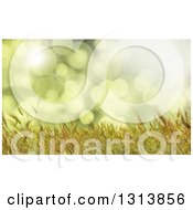 3d Golden Wheat Crop Background Over Green Flares