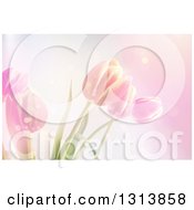 Clipart Of A Background Of Pink Tulip Flowers And Flares Royalty Free Illustration