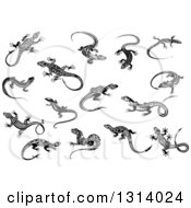Clipart Of Black And White Tribal Lizards 6 Royalty Free Vector Illustration by Vector Tradition SM