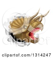 3d Roaring Angry Triceratops Dino Head Breaking Through A Wall