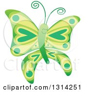 Poster, Art Print Of Cute Cartoon Green Baby Butterfly