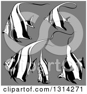Clipart Of Cartoon Black And White Moorish Idol Marine Fish On Gray Royalty Free Vector Illustration