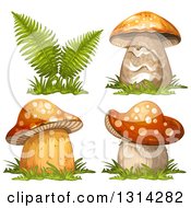 Clipart Of Mushrooms And Ferns With Grass Royalty Free Vector Illustration