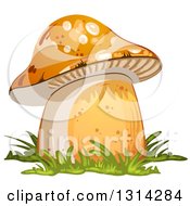 Poster, Art Print Of Mushroom With Grass 2