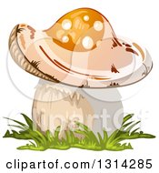 Poster, Art Print Of Mushroom With Grass 3