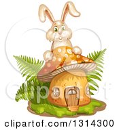 Poster, Art Print Of Mushroom With Grass Ferns And A Bunny Rabbit
