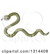 Poster, Art Print Of Cartoon Green Snake Facing Left