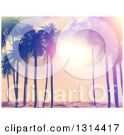 Poster, Art Print Of Retro Lit Tropical Beach Sunset With Palm Trees Painted Style