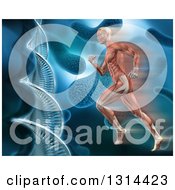 Clipart Of A 3d Medical Anatomical Man With Visible Muscles Running Over A Blue Virus And Dna Background Royalty Free Illustration