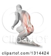 Clipart Of A 3d Anatomical Man Kneeling On The Floor With Visible Muscles On White Royalty Free Illustration