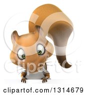 3d Casual Squirrel Wearing A White T Shirt Looking Down Over A Sign