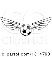 Poster, Art Print Of Black And White Winged Soccer Ball