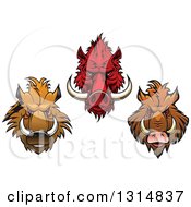 Poster, Art Print Of Red And Brown Vicious Razorback Boar Mascot Heads