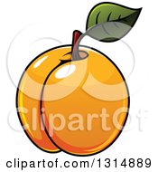 Cartoon Shiny Apricot