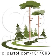 Poster, Art Print Of Park With Tall And Evergreen Trees