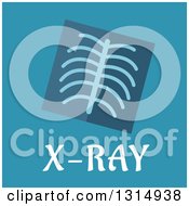 Flat Design Rib Xray And Text Over Blue